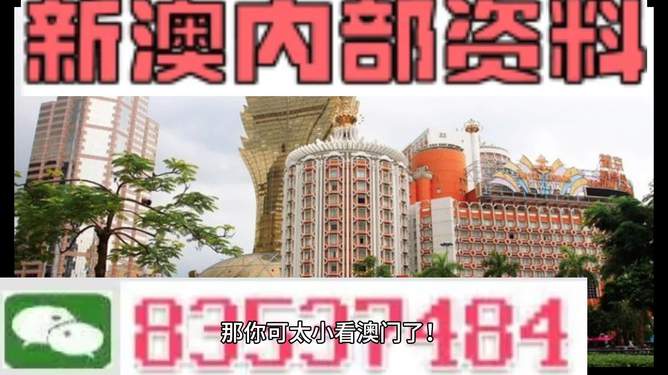 新澳门免费资料大全精准版下载，探索与解析，新澳门免费资料大全精准版下载，探索及解析指南