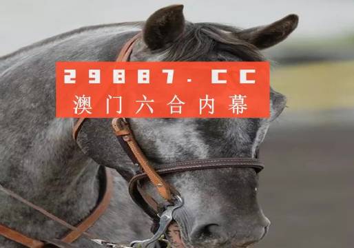 澳门一一码一特一中准选今晚，探索澳门的魅力与未来展望，澳门魅力探索与未来展望，今晚一一码一特一中准选揭晓