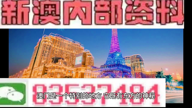 新澳门精准资料大全，探索与解读，新澳门精准资料大全，深度探索与解读