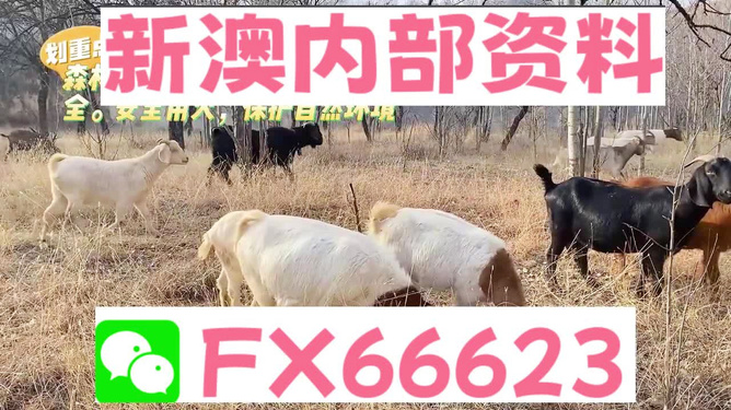 新澳2025今晚开奖资料四不像，深度解析与预测，新澳2025今晚开奖资料解析与预测，四不像现象深度探讨