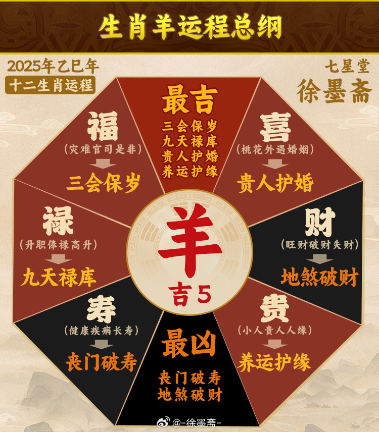 羊报揭秘，探寻神秘的十二生肖之羊与一码独解的秘密——以2025年为背景的探索之旅，揭秘十二生肖之羊与一码独解的秘密，以未来展望2025年的探索之旅