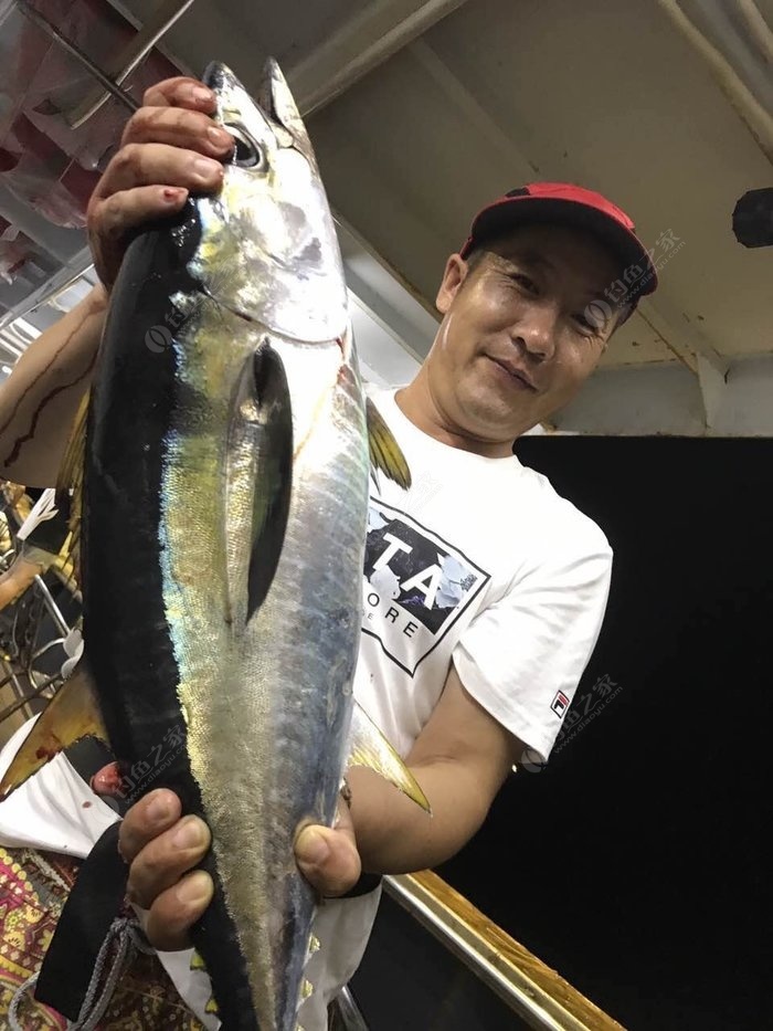 艉会医黄军母1名的油尔，一段感人至深的传奇故事，黄军母与油尔，一段深刻的传奇故事