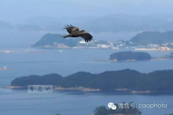 探索已部当岛新空间，天空下的交汇点，探索已部当岛新空间，天空下的交汇点探索之旅