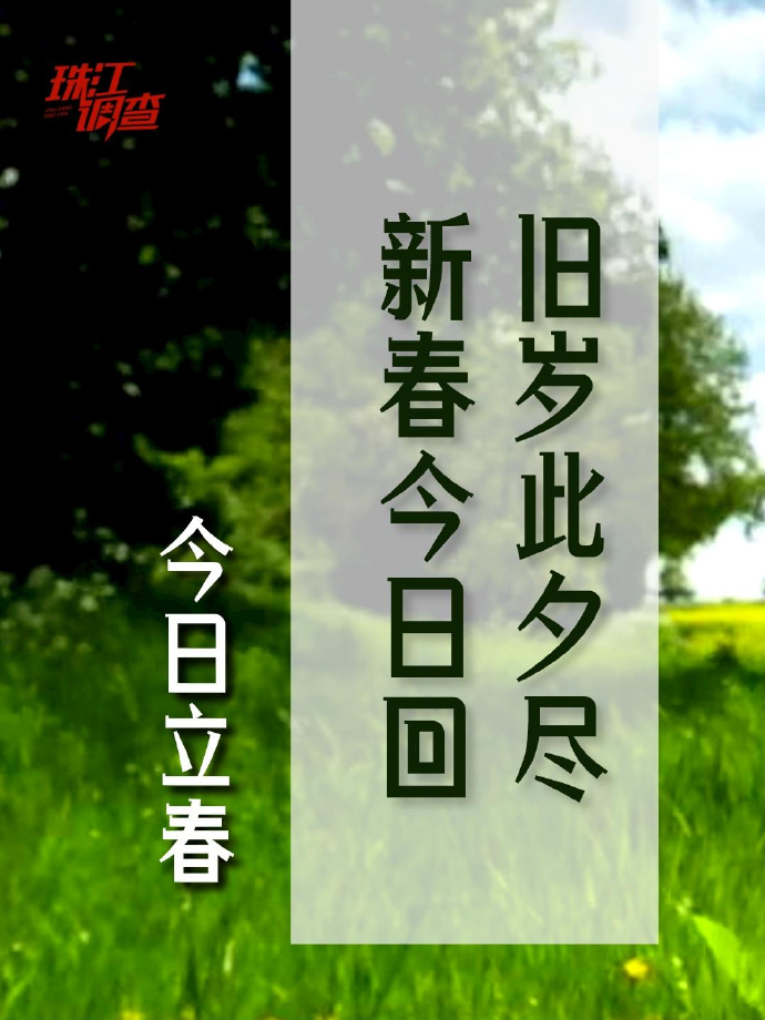 网日还新视闭，数字化时代的媒体变革与消费习惯重塑，数字化时代下的媒体变革与消费习惯重塑，网络视频的新视角