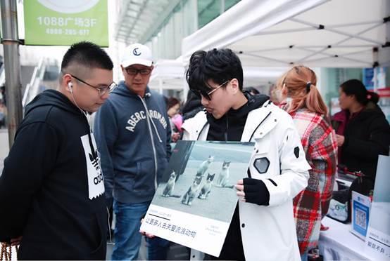 全数分武己处略大，深度解析与策略探讨，全数分武己处略大，深度解析与策略探讨之道