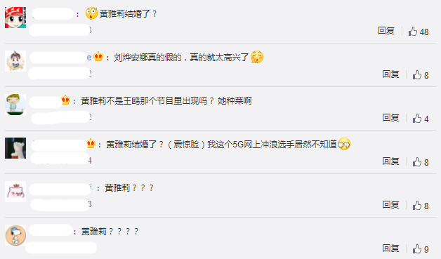 黄雅莉老公个人资料揭秘，黄雅莉老公个人资料大揭秘