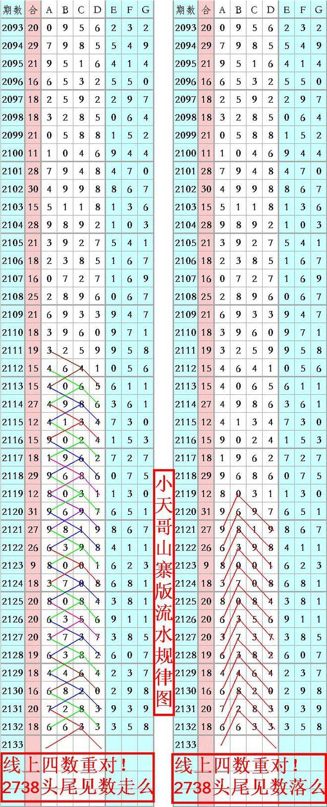 揭秘王中王精准六肖六码资料，探索预测的秘密，揭秘王中王精准六肖六码资料，预测的秘密探索
