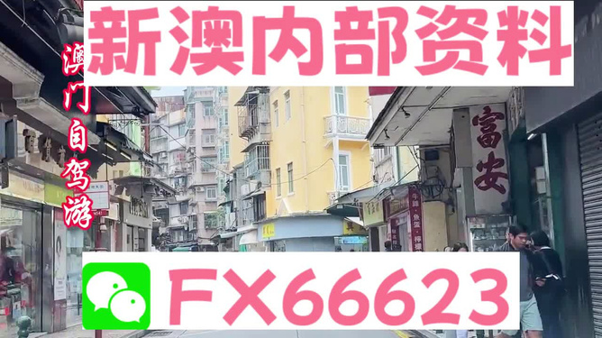 新澳准资料免费提供，助力行业发展的强大资源，新澳准资料免费分享，助力行业发展的强大资源助力包