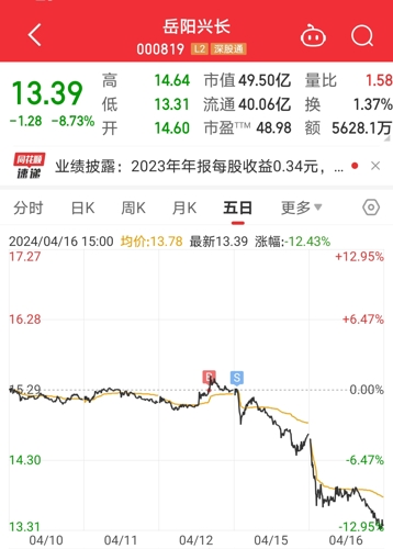 岳阳兴长股票股吧，投资热点与市场动态分析，岳阳兴长股票股吧，投资热点与市场动态深度解析
