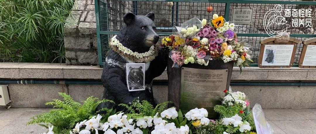 澳门开奖结果及今日开奖记录查询，澳门开奖结果及今日开奖记录查询概览