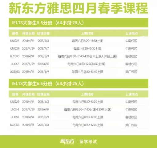 婚介命名艺术，探索好听、富有吸引力的婚介名称，婚介命名艺术，探索魅力名称，缔造美好姻缘